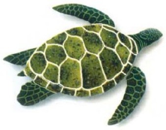 Черепаха (вид сбоку) Арт. Т49